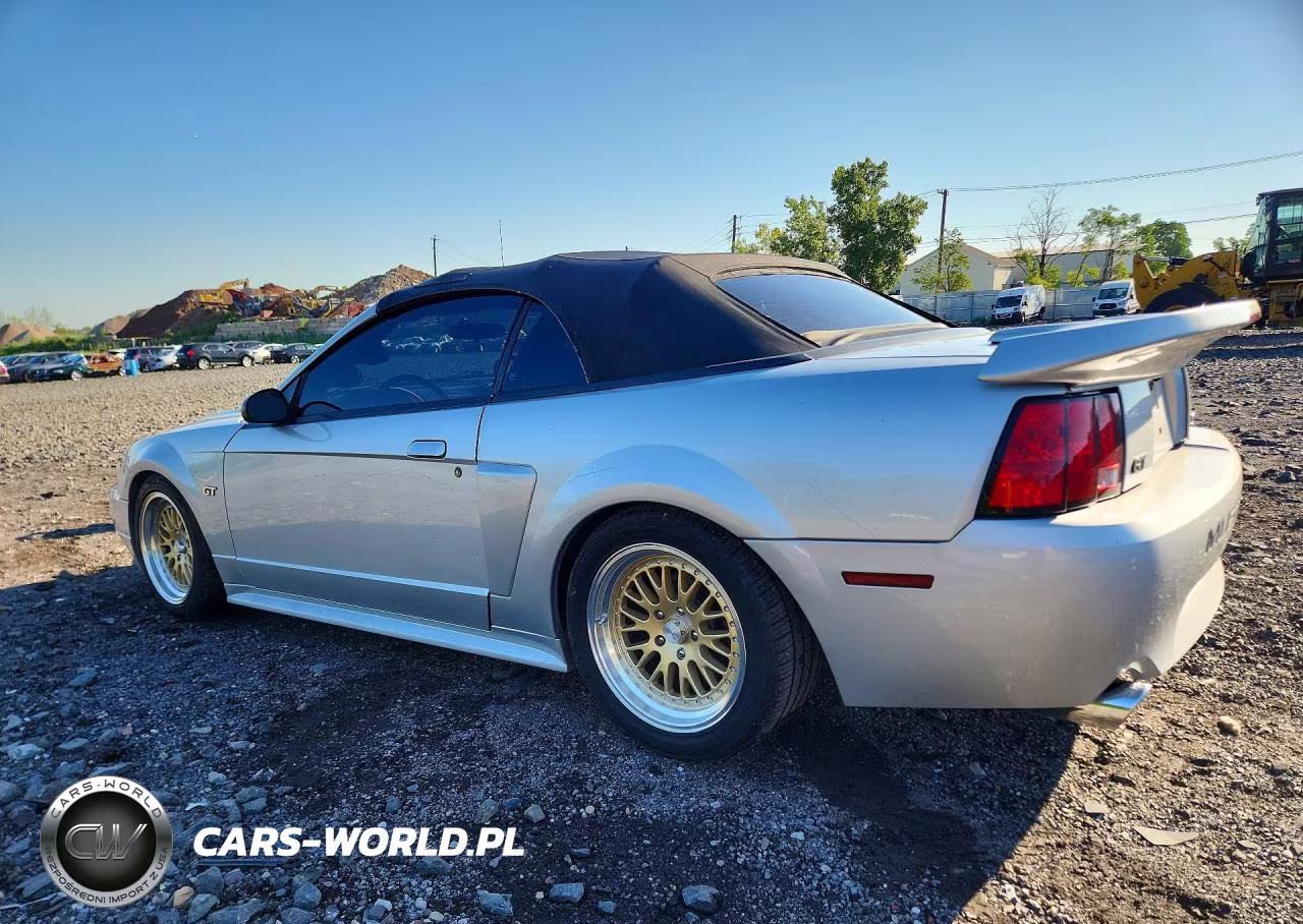 2001 Ford Mustang Gt VIN:1FAFP45X31F151843 - 2