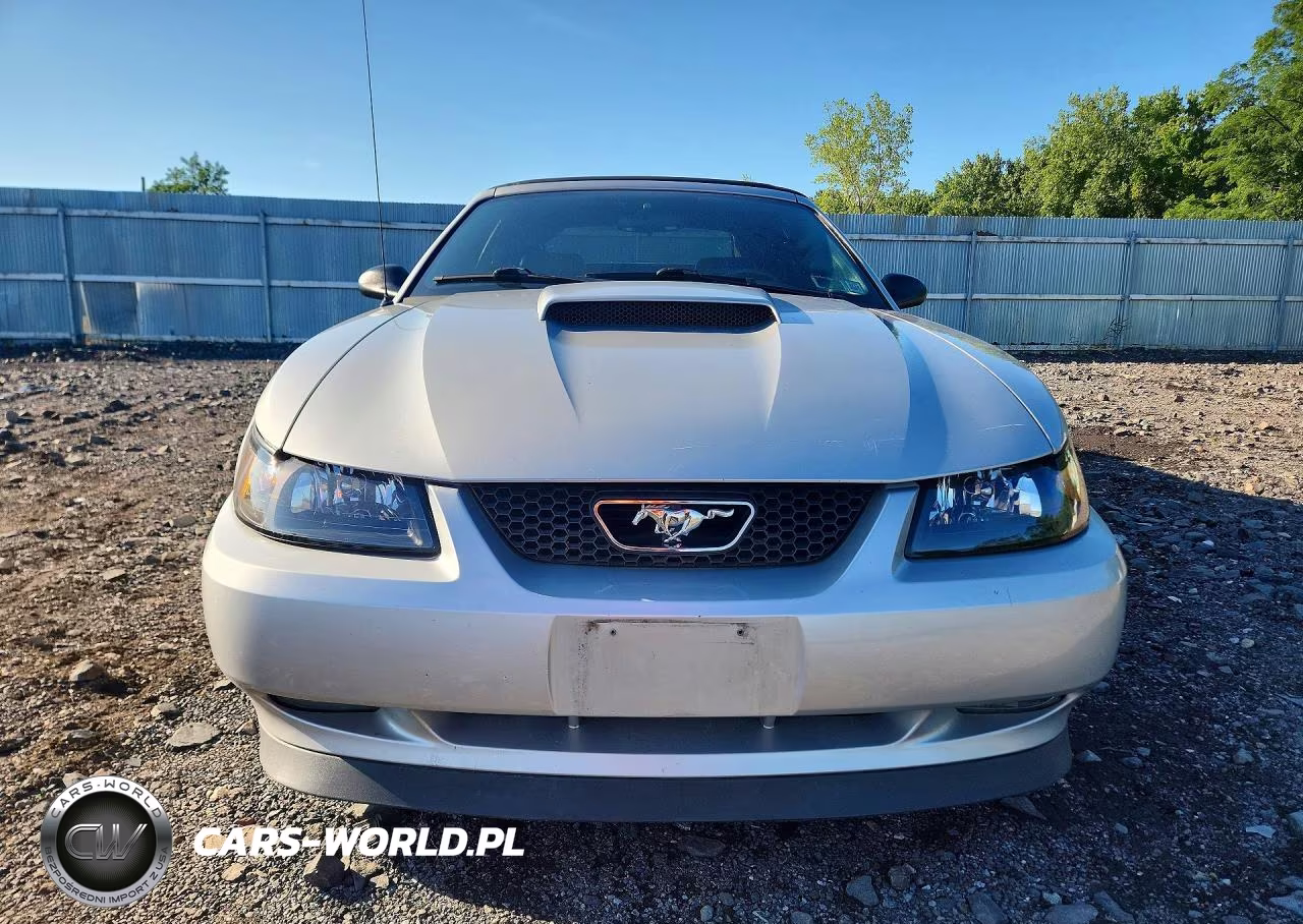 2001 Ford Mustang Gt VIN:1FAFP45X31F151843 - 5