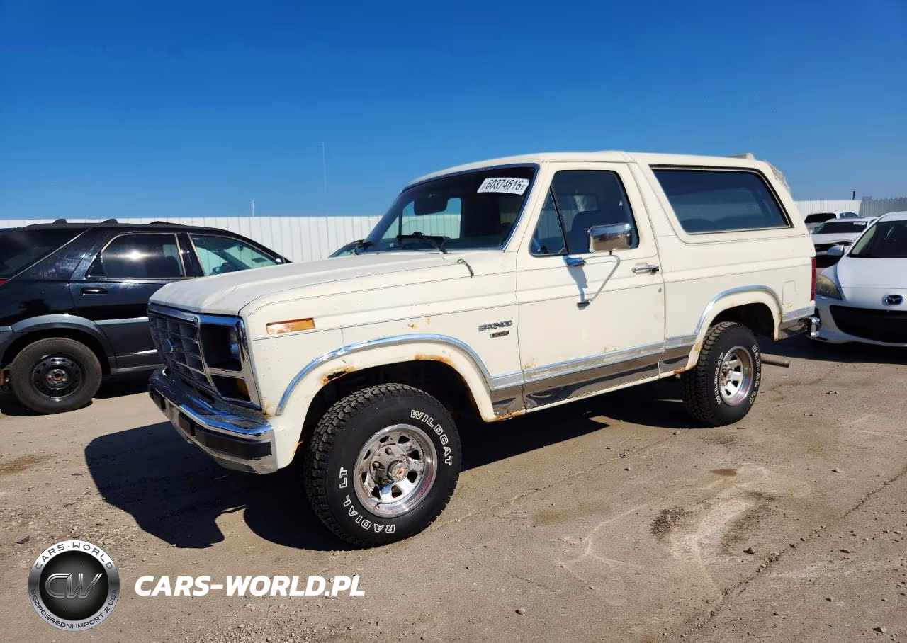 1983 Ford Bronco U100