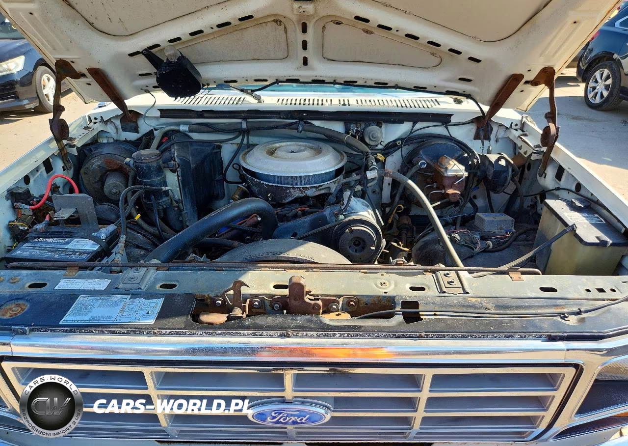 1983 Ford Bronco U100 VIN:1FMEU15G9DLA48294 - 12