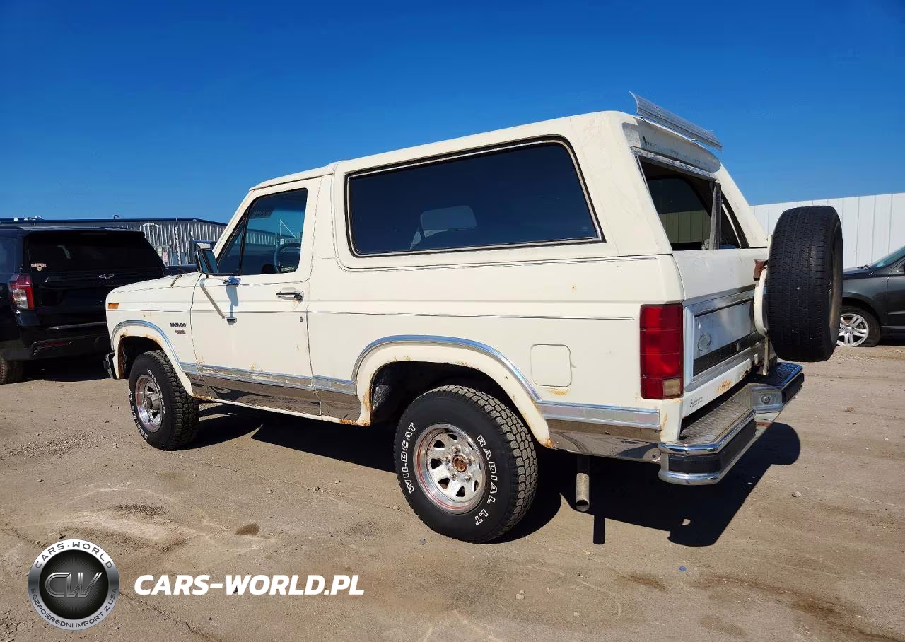 1983 Ford Bronco U100 VIN:1FMEU15G9DLA48294 - 2