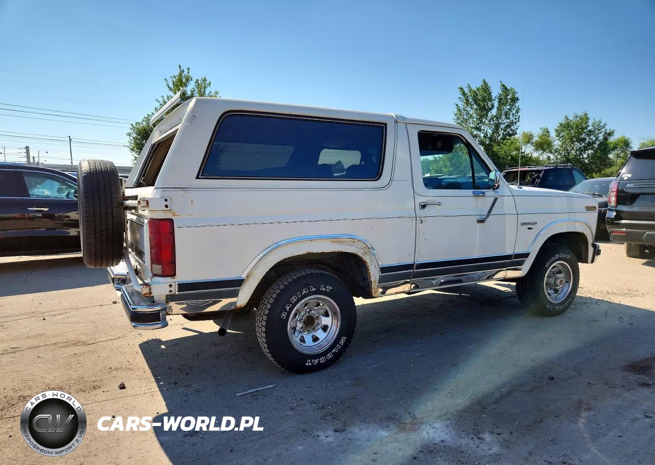 1983 Ford Bronco U100 VIN:1FMEU15G9DLA48294 - 3