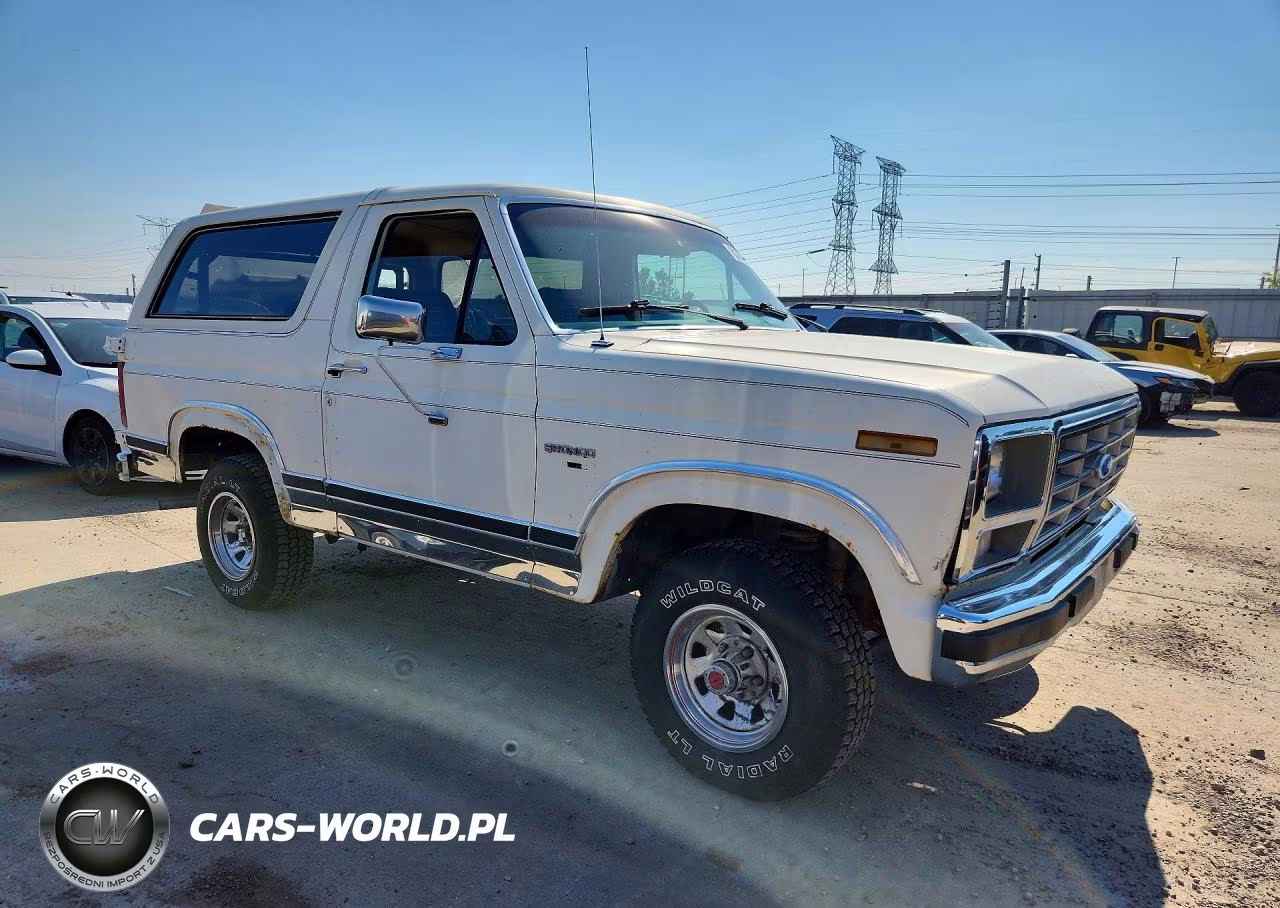 1983 Ford Bronco U100 VIN:1FMEU15G9DLA48294 - 4