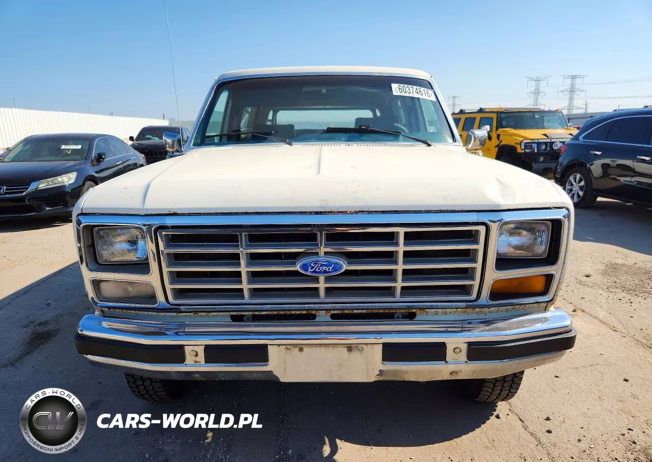 1983 Ford Bronco U100 VIN:1FMEU15G9DLA48294 - 5