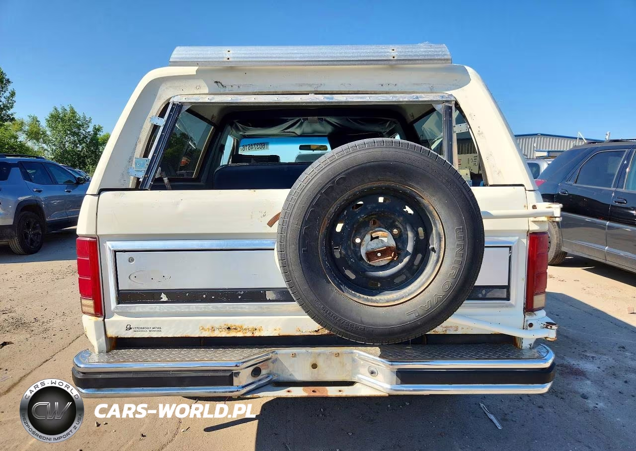 1983 Ford Bronco U100 VIN:1FMEU15G9DLA48294 - 6