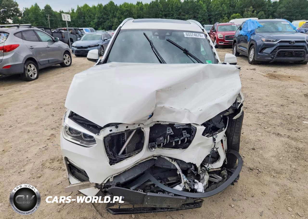 2019 BMW X3 Sdrive30I VIN:5UXTR7C52KLF26278 - 5
