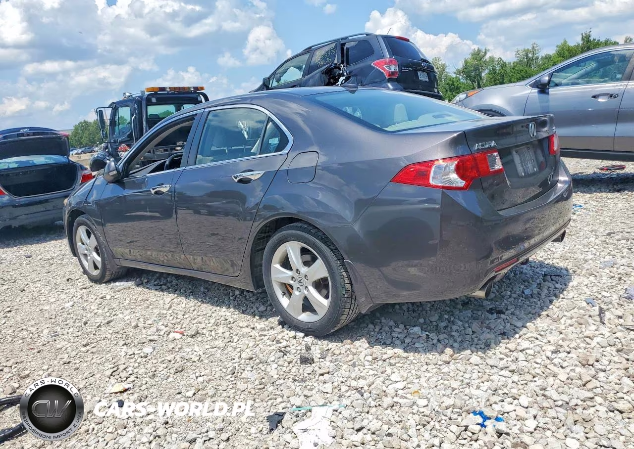2009 Acura Tsx VIN:JH4CU26689C020452 - 2