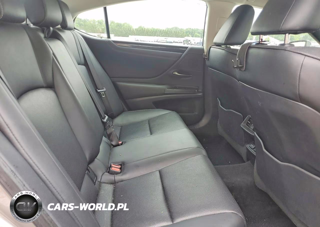 2019 Lexus Es 350 VIN:58ABZ1B18KU023553 - 10