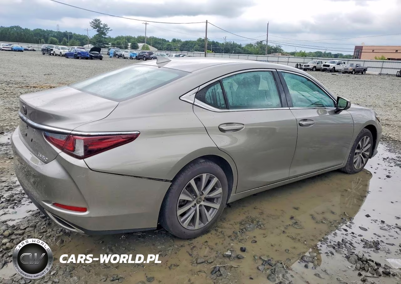 2019 Lexus Es 350 VIN:58ABZ1B18KU023553 - 3