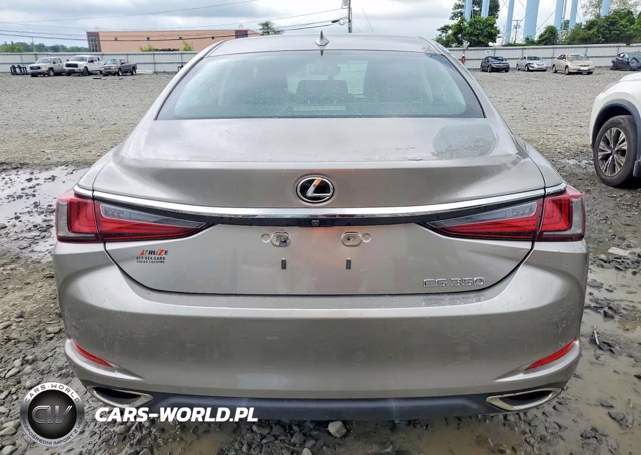 2019 Lexus Es 350 VIN:58ABZ1B18KU023553 - 6