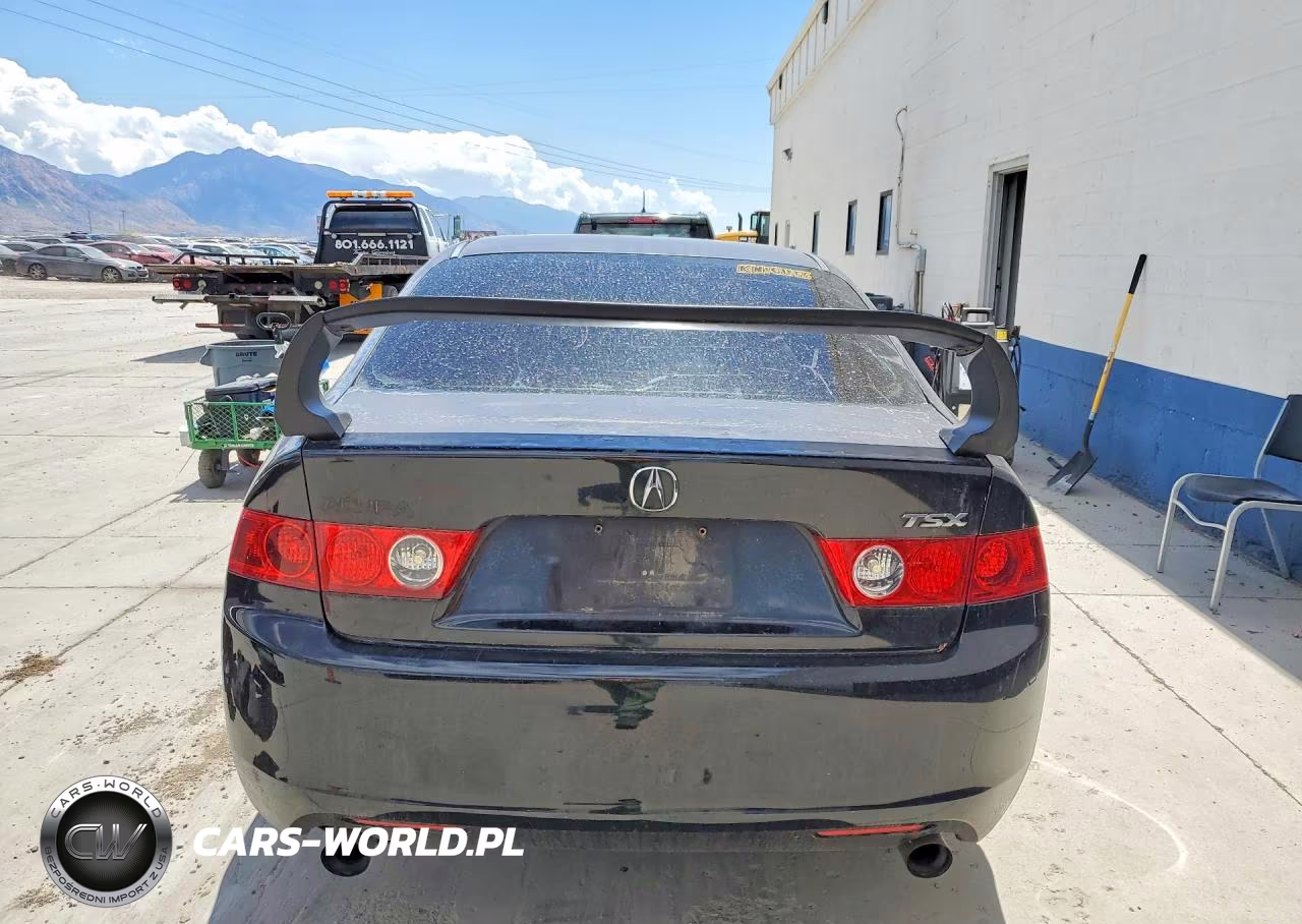 2004 Acura Tsx VIN:JH4CL96964C001929 - 6