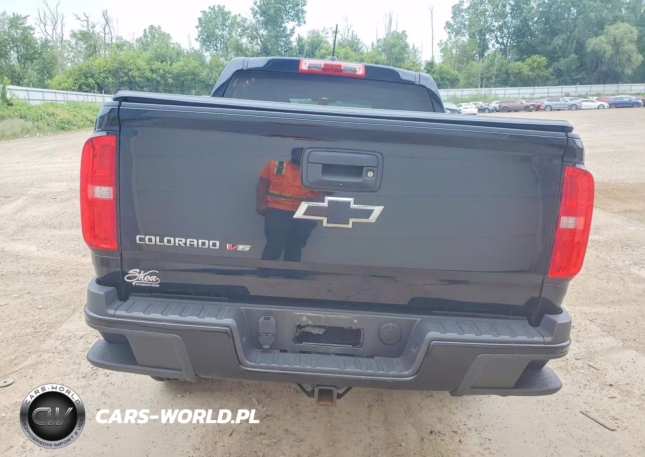 2019 Chevrolet Colorado VIN:1GCGTBEN4K1322577 - 6