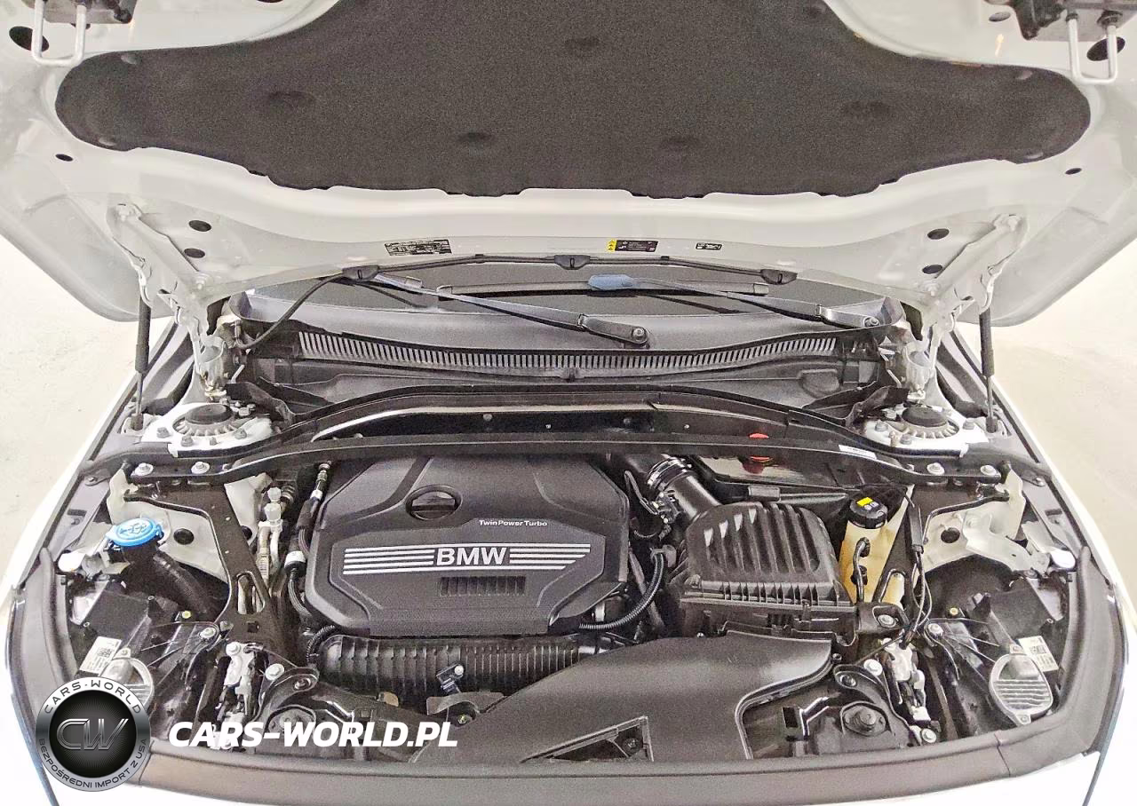2022 BMW 228I VIN:WBA53AK08N7K12012 - 11