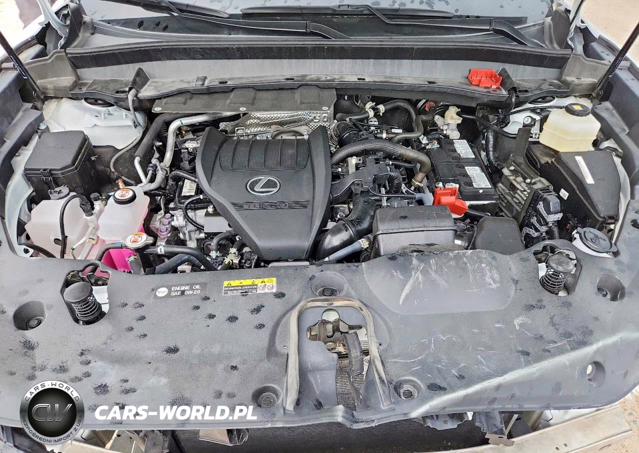 2025 Lexus Tx 350 Base VIN:5TDAAAB6XSS044581 - 12