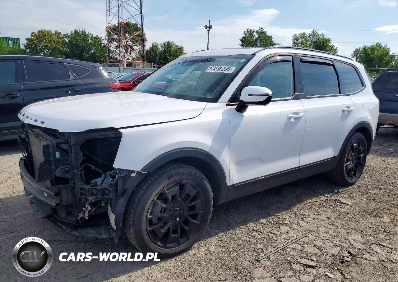 2021 Kia Telluride Ex – zdjęcie 1 z 14