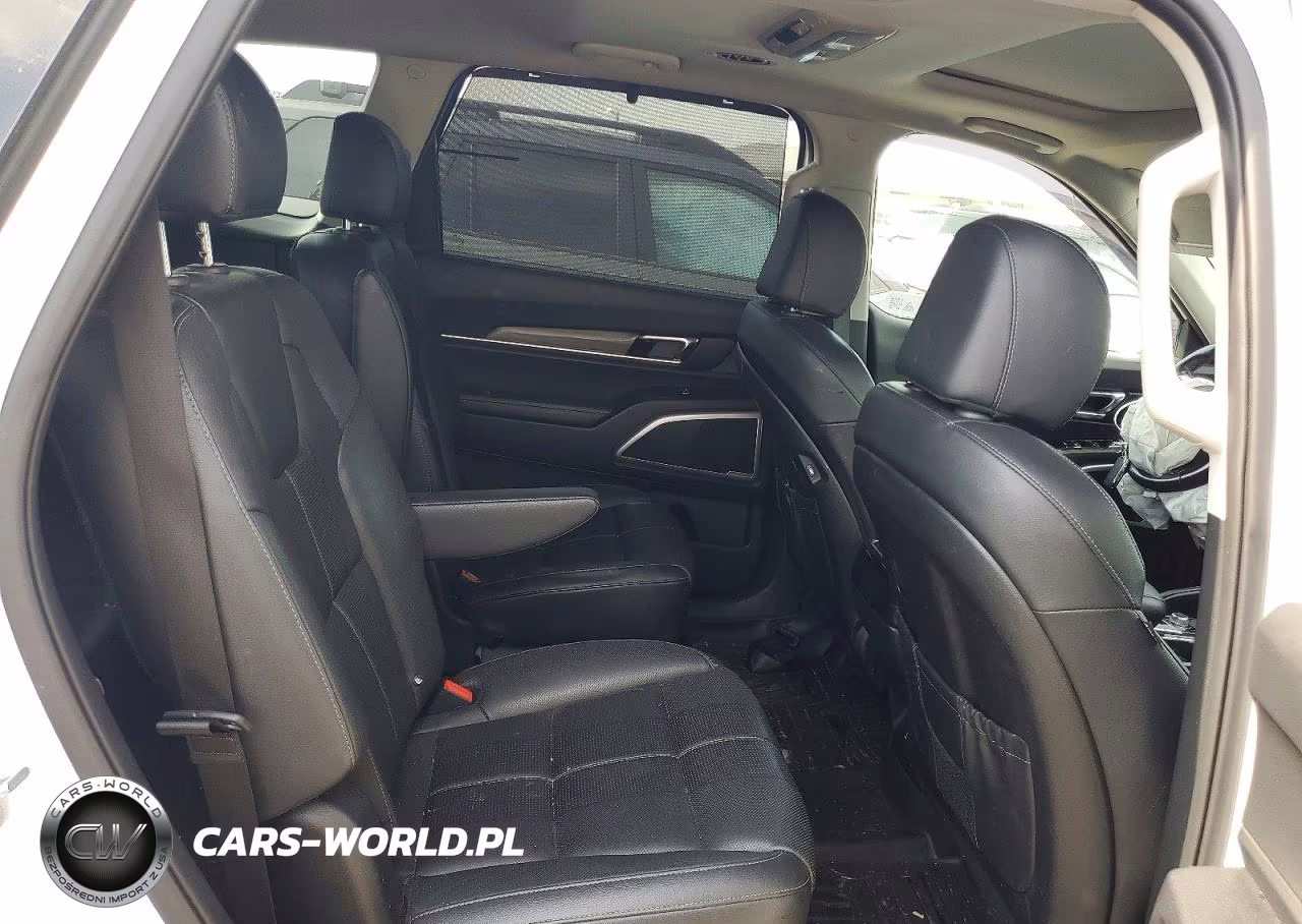 2021 Kia Telluride Ex VIN:5XYP3DHC6MG176353 - 11