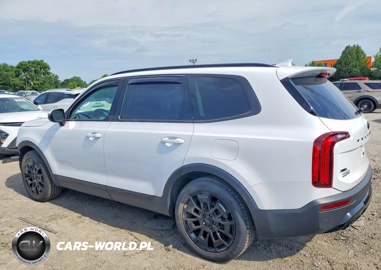 2021 Kia Telluride Ex VIN:5XYP3DHC6MG176353 - 2