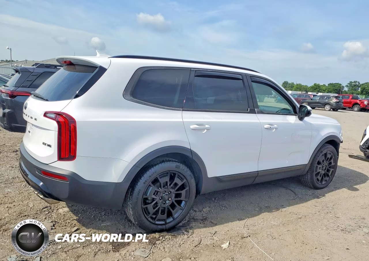 2021 Kia Telluride Ex VIN:5XYP3DHC6MG176353 - 3