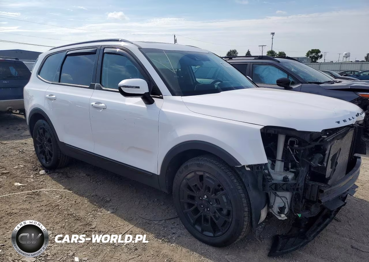 2021 Kia Telluride Ex VIN:5XYP3DHC6MG176353 - 4