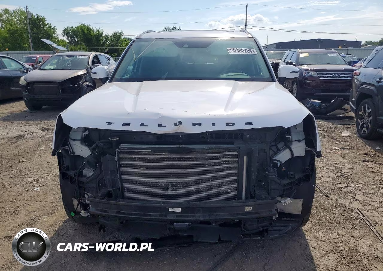 2021 Kia Telluride Ex VIN:5XYP3DHC6MG176353 - 5