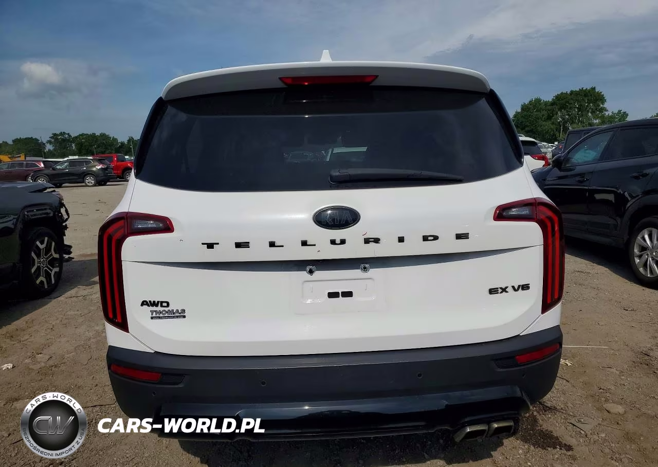 2021 Kia Telluride Ex VIN:5XYP3DHC6MG176353 - 6