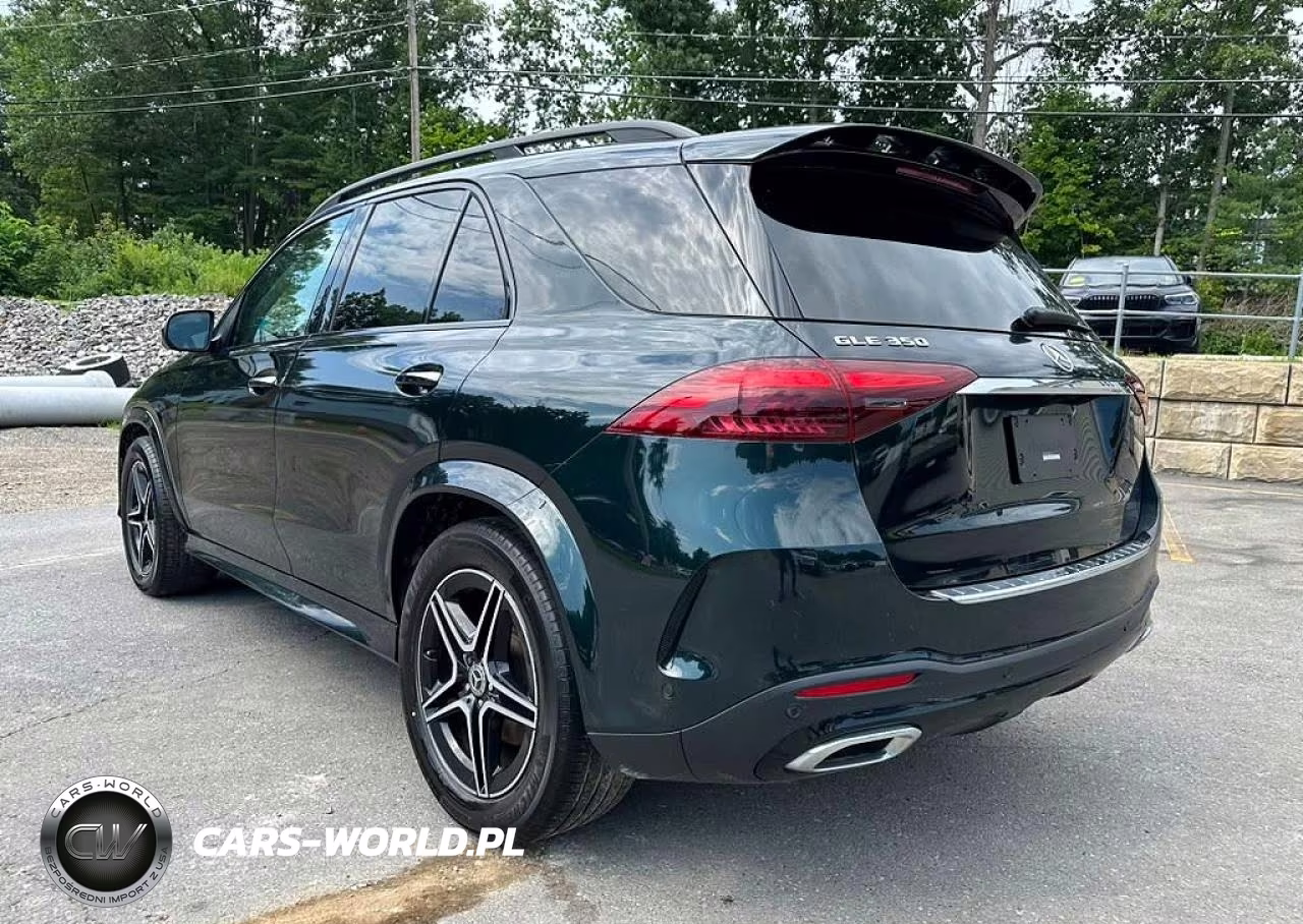 2024 Mercedes-Benz Gle 350 4Matic VIN:4JGFB4FB9RB034519 - 2