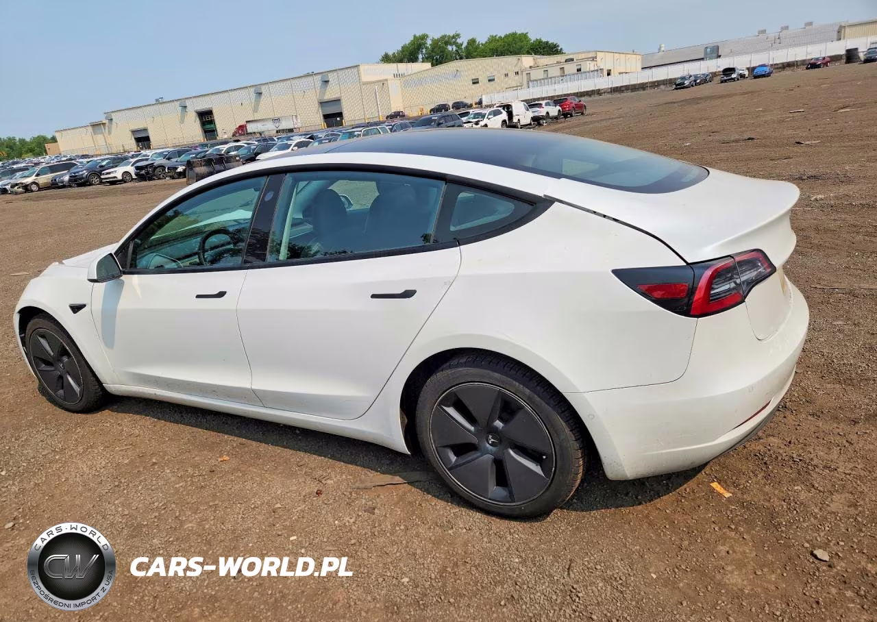 2021 Tesla Model 3 VIN:5YJ3E1EB2MF869737 - 2