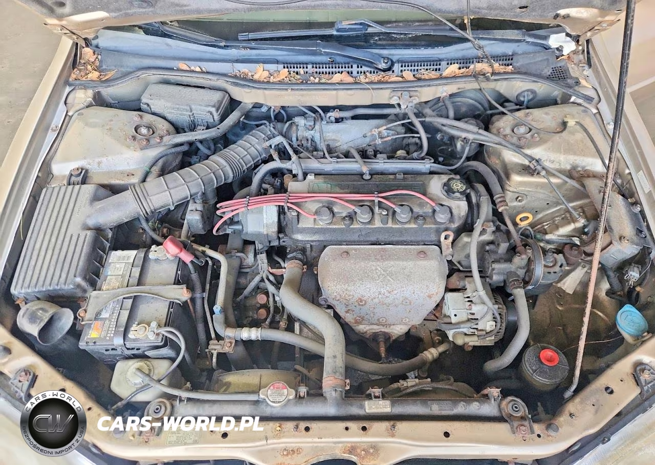 2001 Honda Accord Lx VIN:1HGCG66521A052600 - 11