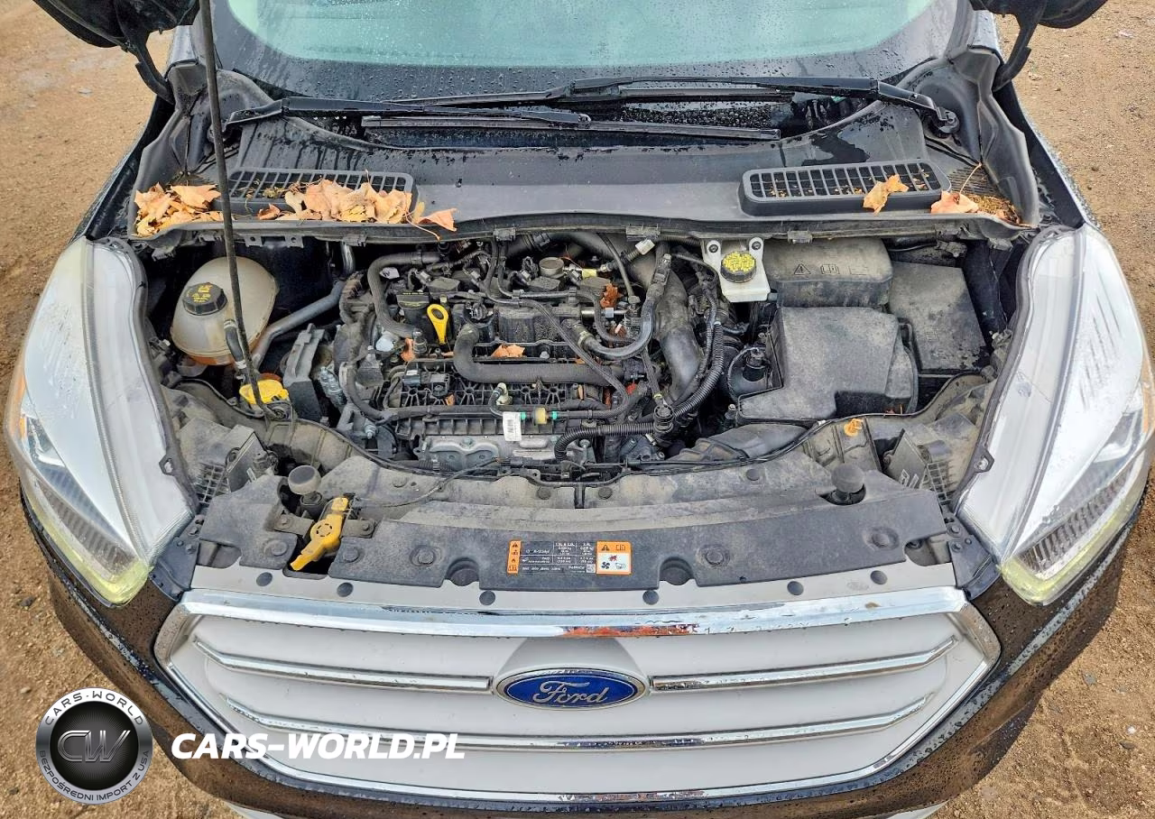 2019 Ford Escape Sel VIN:1FMCU0HD2KUC50971 - 12