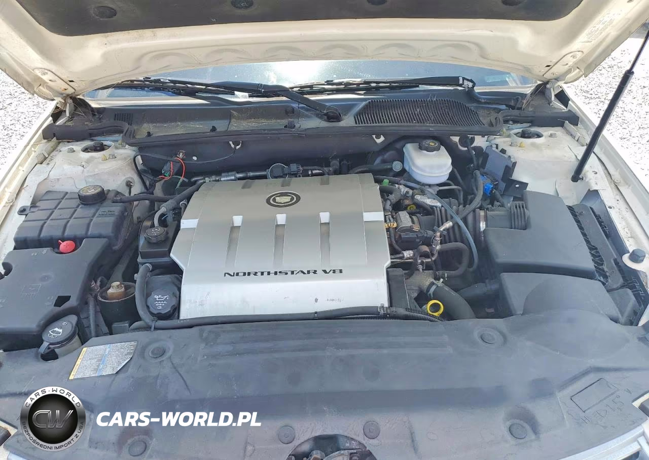 2006 Cadillac Professional Chassis VIN:1GEEH96Y66U550277 - 11