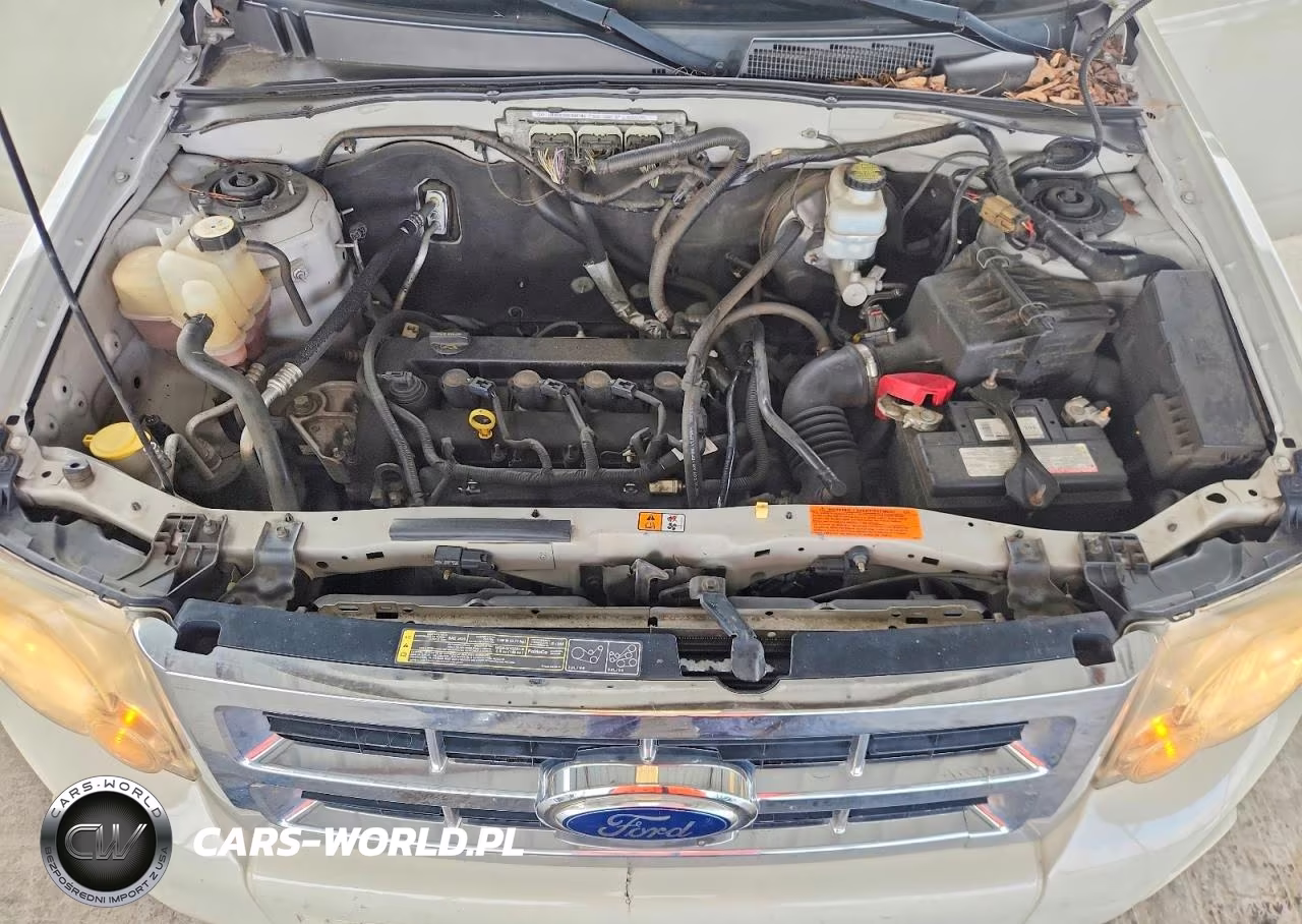 2011 Ford Escape Xlt VIN:1FMCU9D7XBKC68523 - 12