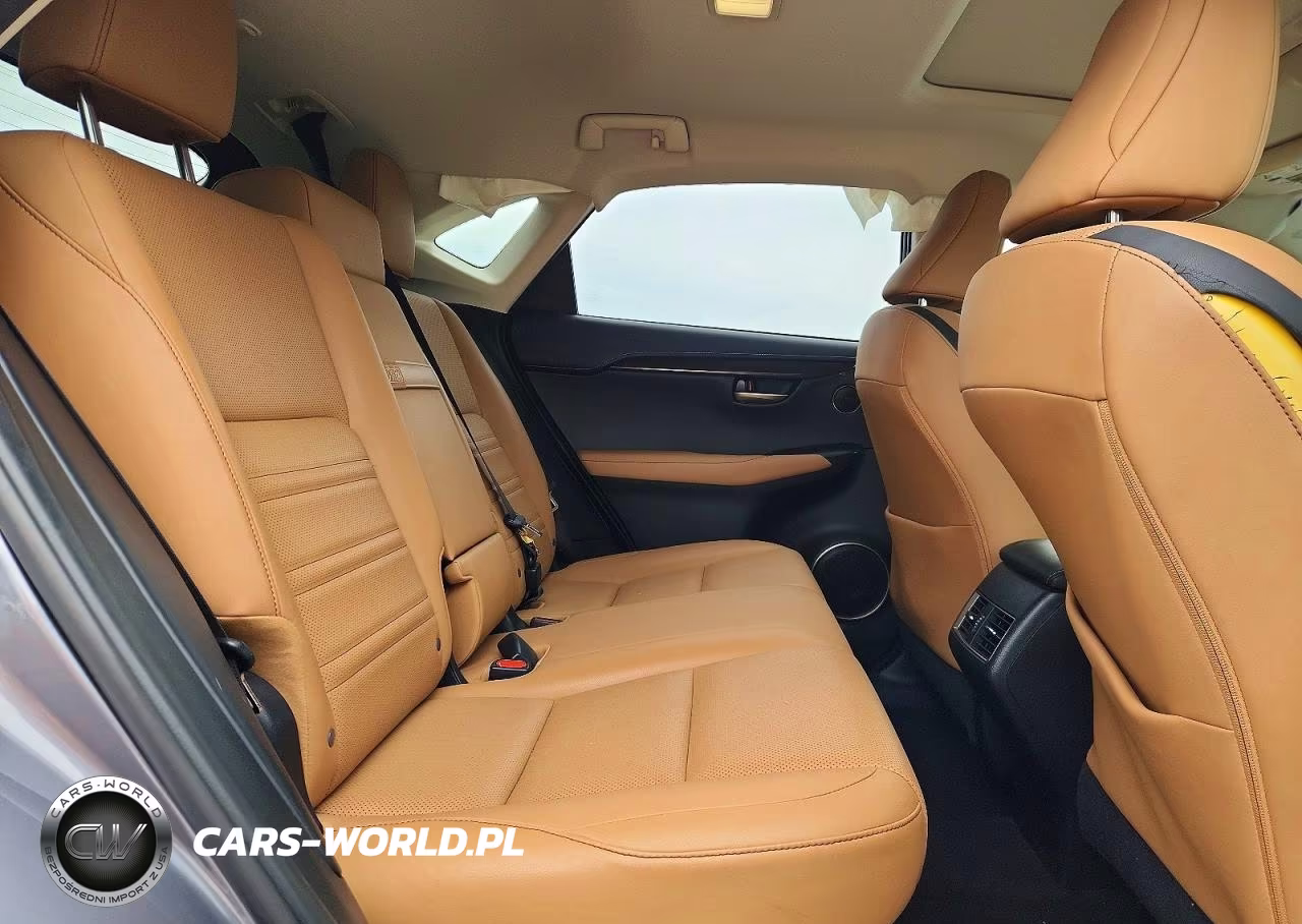 2015 Lexus Nx 200T VIN:JTJBARBZ6F2039319 - 11
