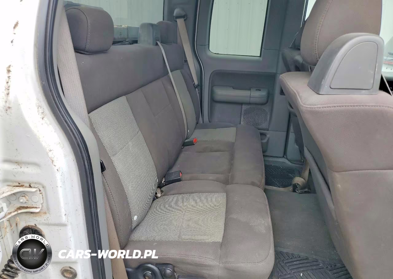 2006 Ford F150 VIN:1FTRX14W86NA80828 - 10