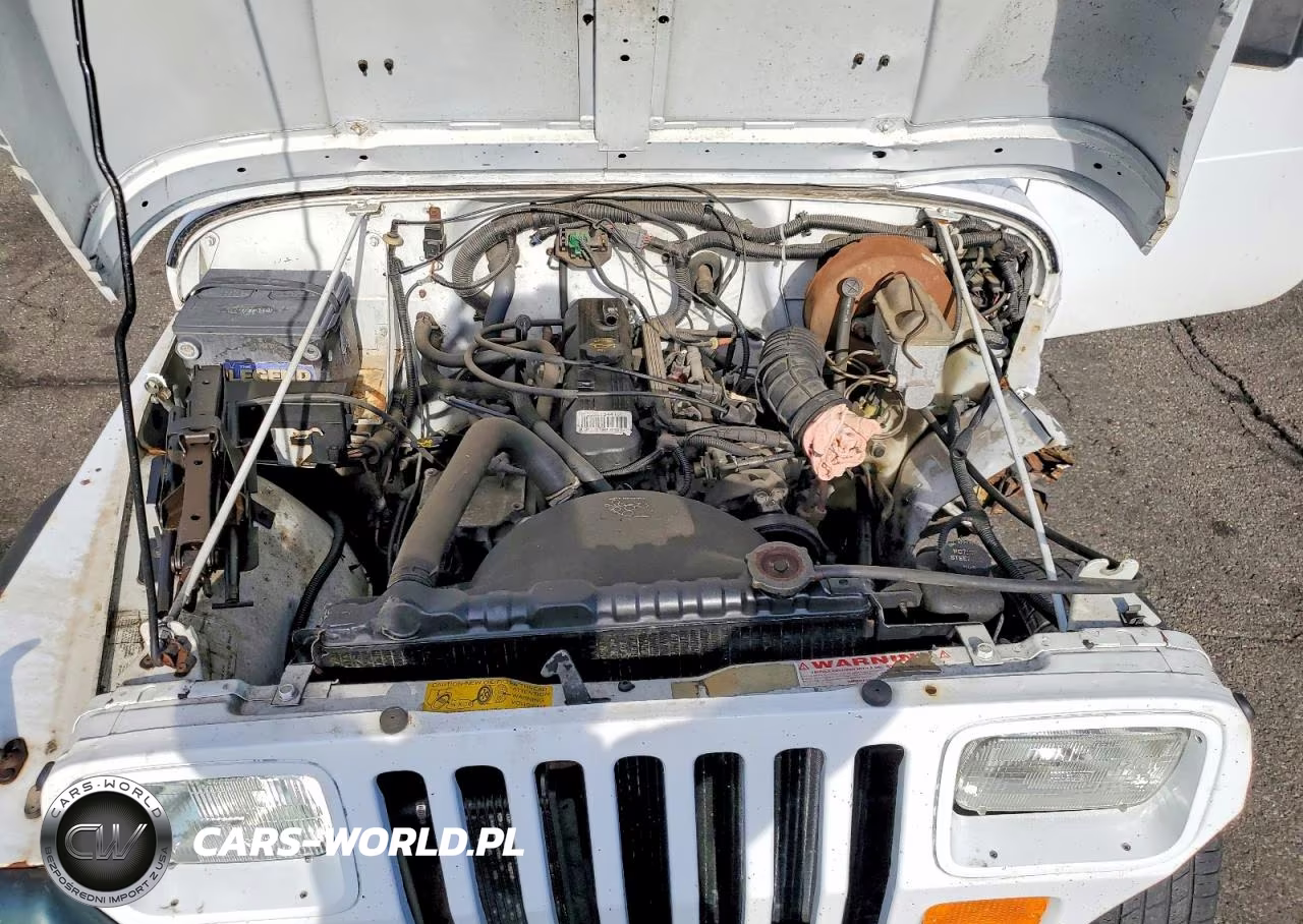 1994 Jeep Wrangler - Yj S VIN:1J4FY19P2RP407101 - 11