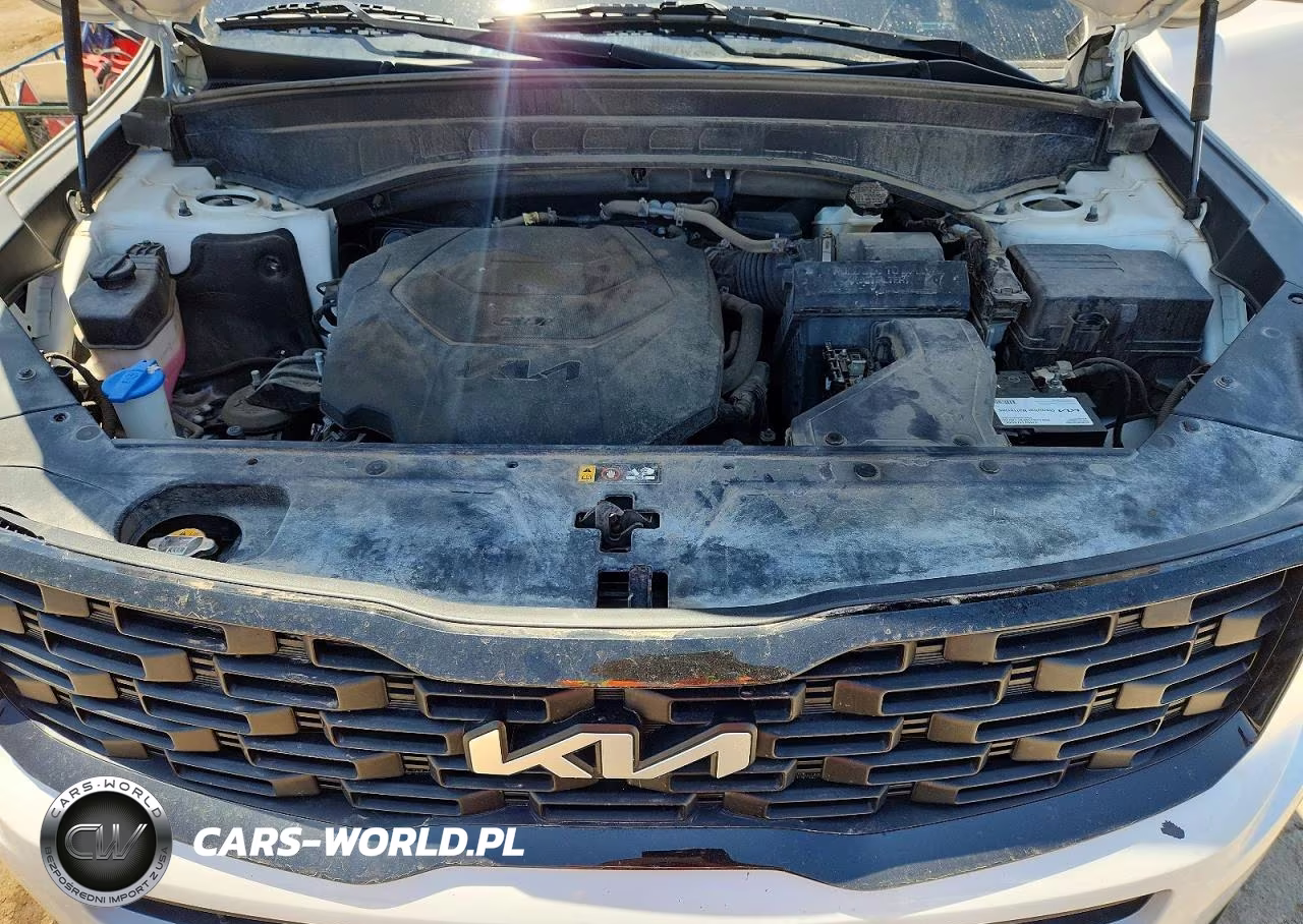 2022 Kia Telluride Ex VIN:5XYP3DHC8NG198503 - 12