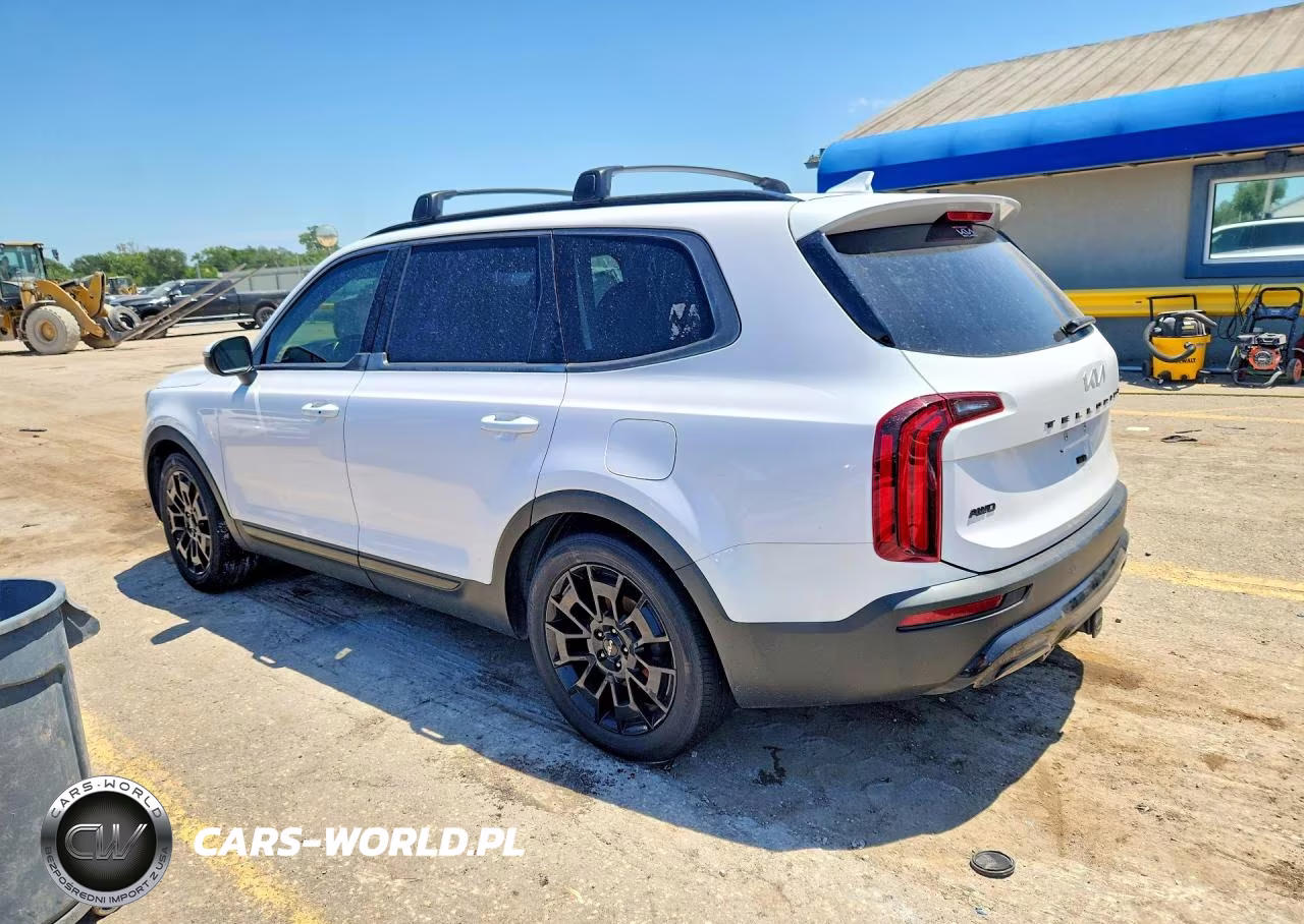 2022 Kia Telluride Ex VIN:5XYP3DHC8NG198503 - 2