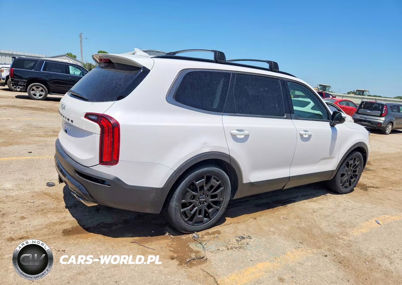 2022 Kia Telluride Ex VIN:5XYP3DHC8NG198503 - 3