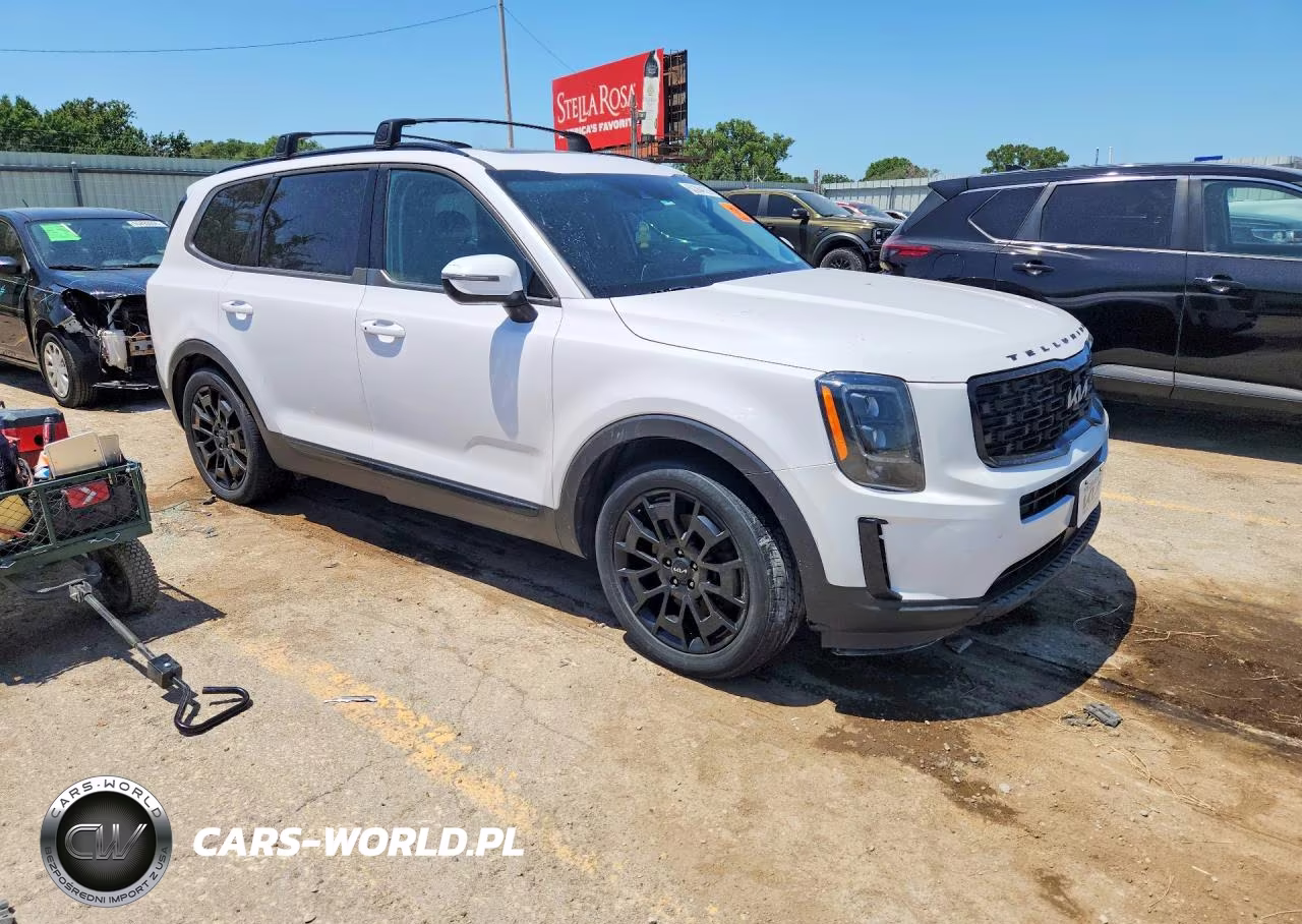 2022 Kia Telluride Ex VIN:5XYP3DHC8NG198503 - 4