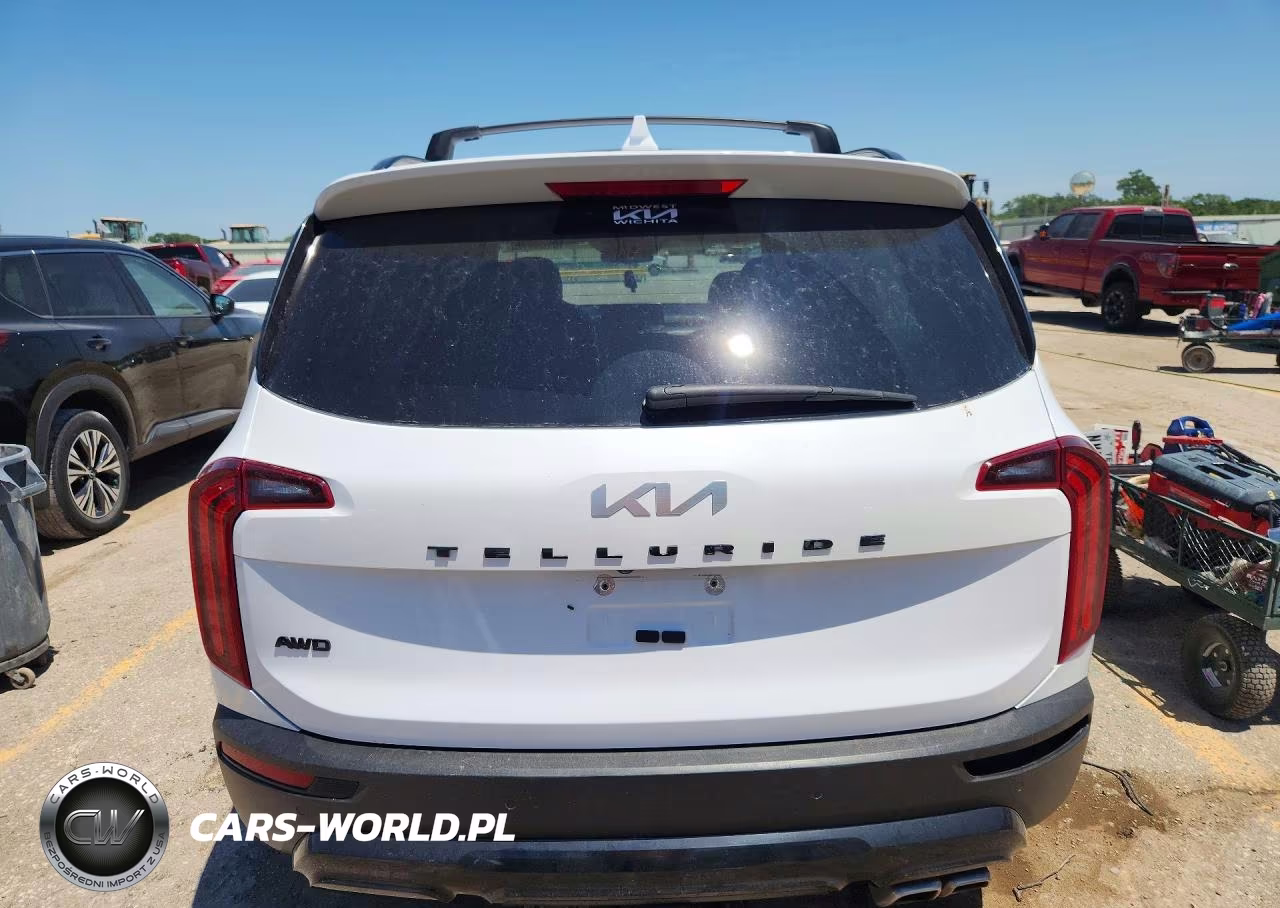2022 Kia Telluride Ex VIN:5XYP3DHC8NG198503 - 6