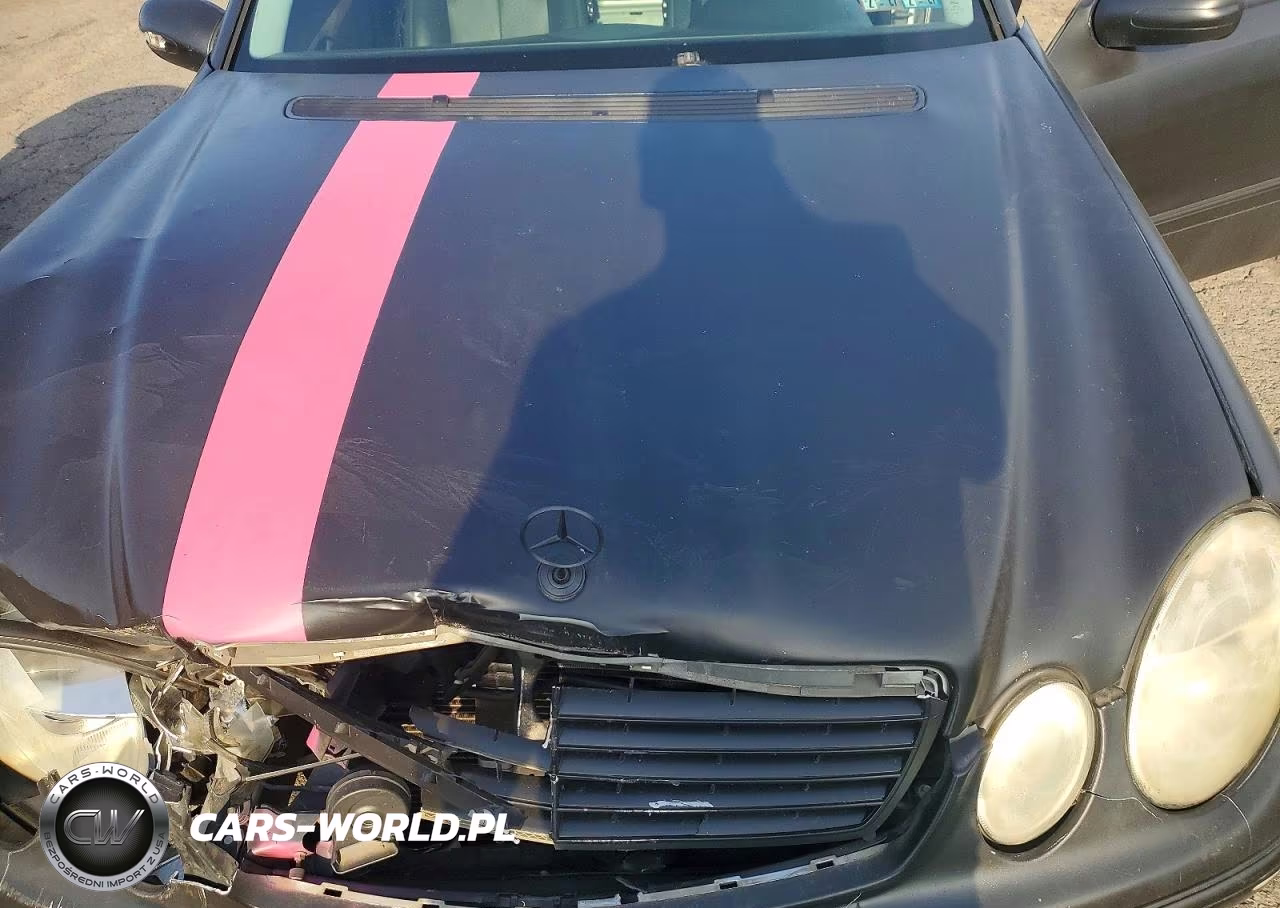 2003 Mercedes-Benz E 320 VIN:WDBUF65J93A129940 - 11