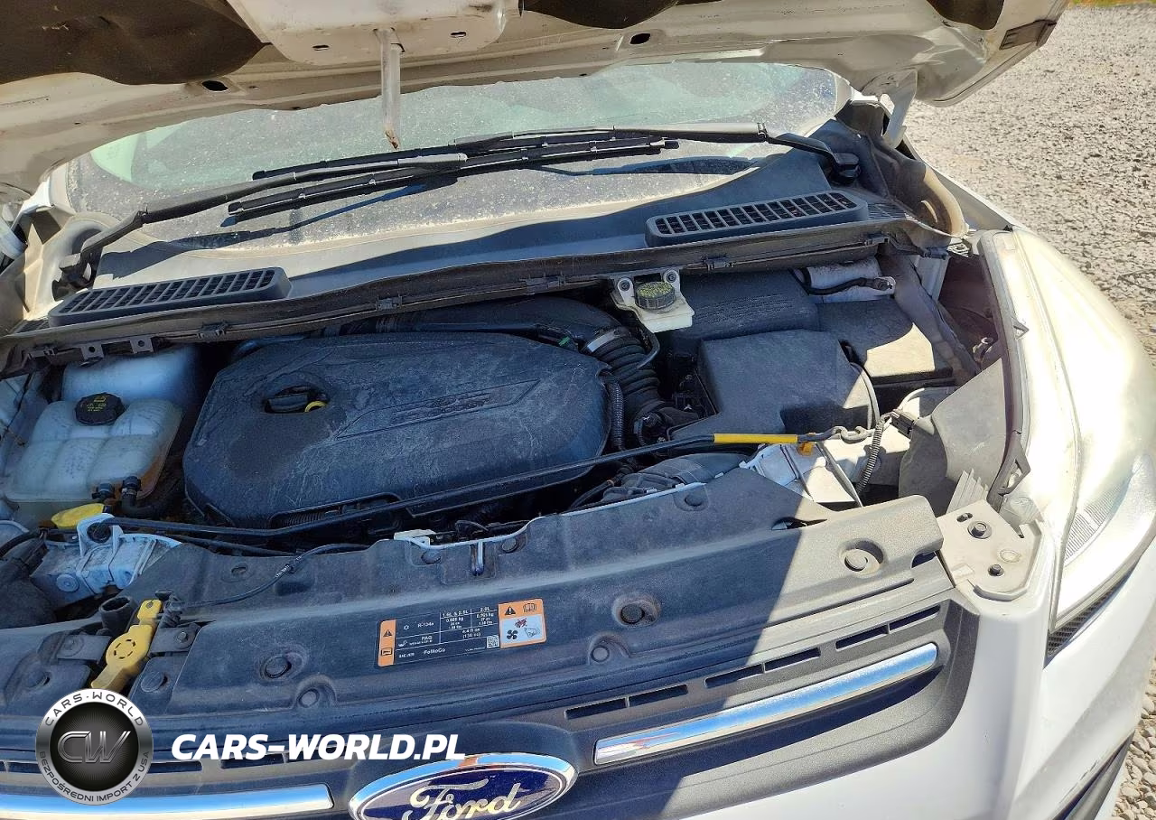 2014 Ford Escape Se VIN:1FMCU9GX6EUE10872 - 12