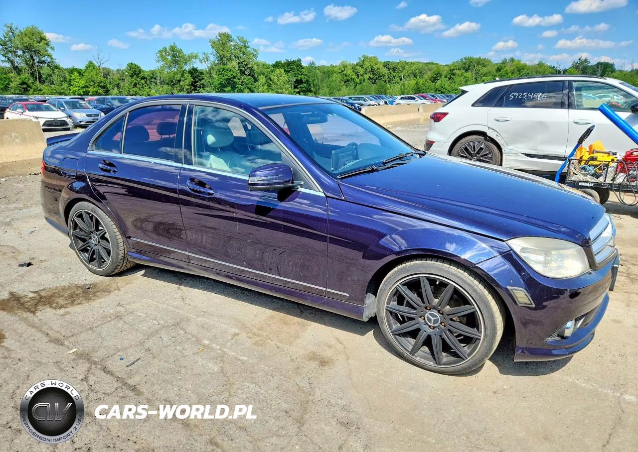2010 Mercedes-Benz C 300 4Matic VIN:WDDGF8BB9AR124085 - 4