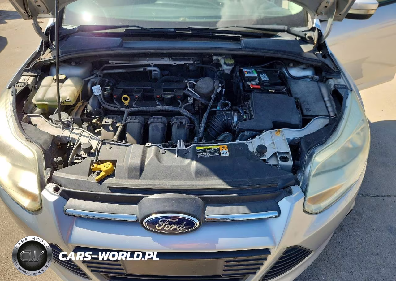 2013 Ford Focus Se VIN:1FADP3F27DL115616 - 11