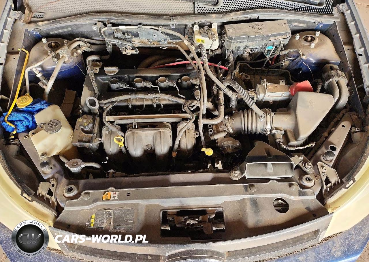 2008 Ford Focus Se VIN:1FAHP33N18W179039 - 11