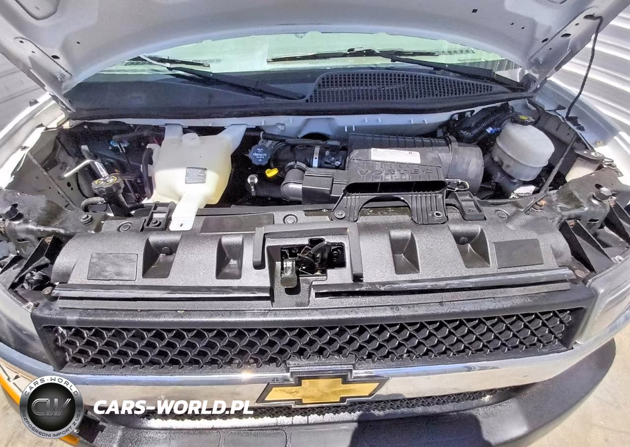 2019 Chevrolet Express G2500 VIN:1GCWGAFG0K1346143 - 12