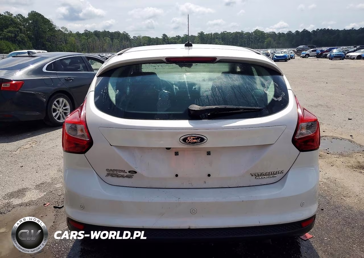 2013 Ford Focus Titanium VIN:1FADP3N23DL141969 - 6