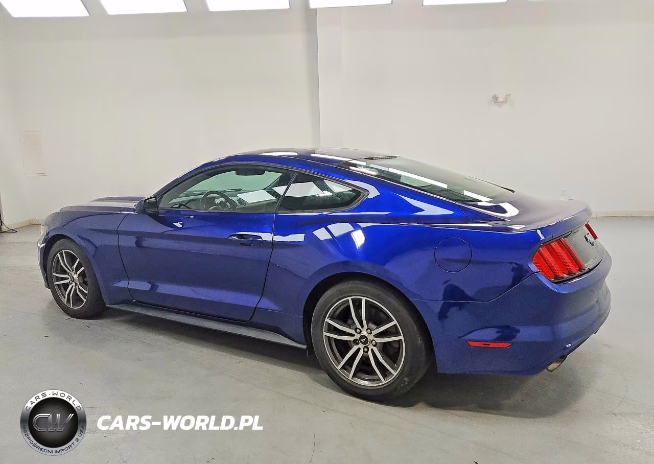 2016 Ford Mustang VIN:1FA6P8TH1G5236438 - 2