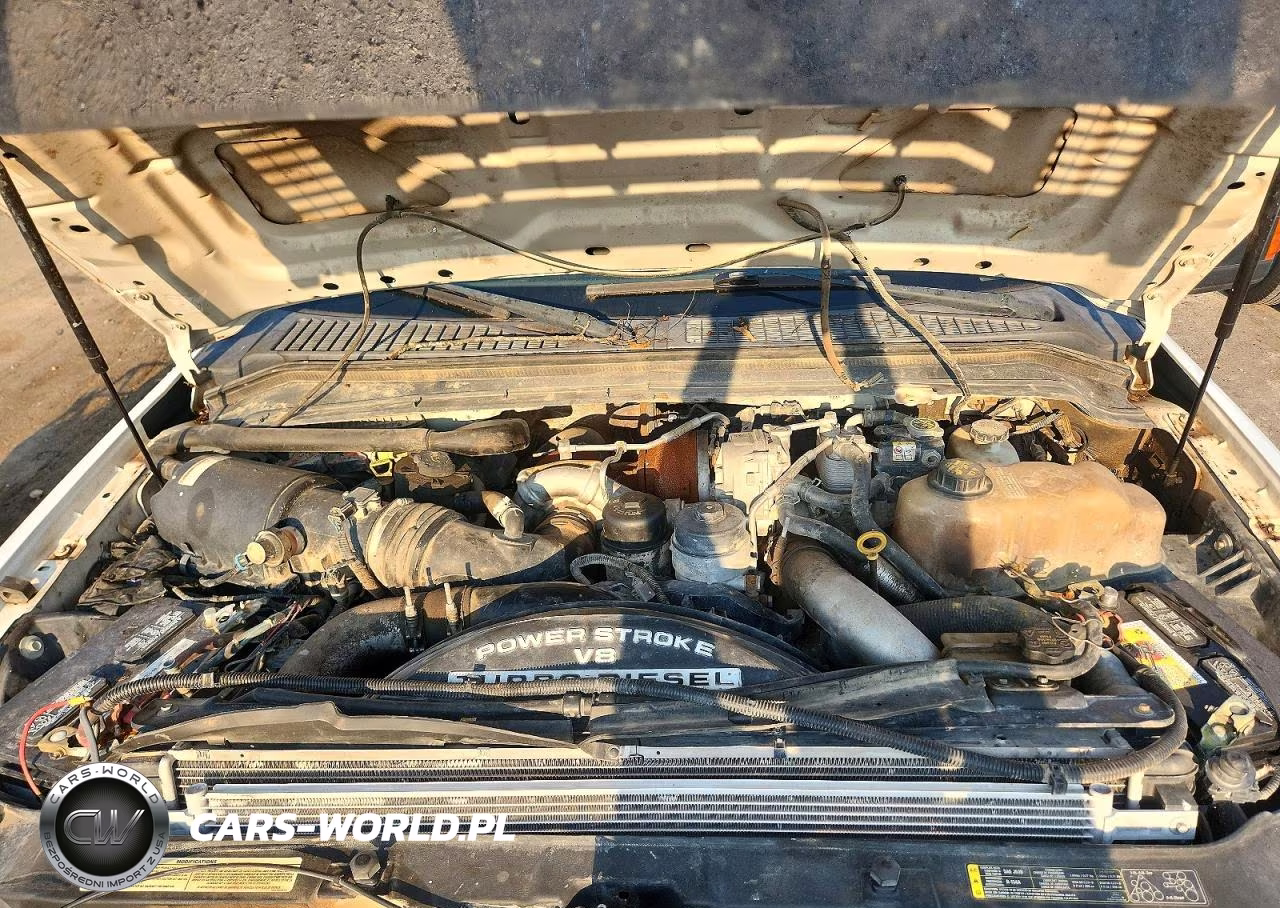2009 Ford F250 Super Duty VIN:1FTSW21RX9EA99801 - 11