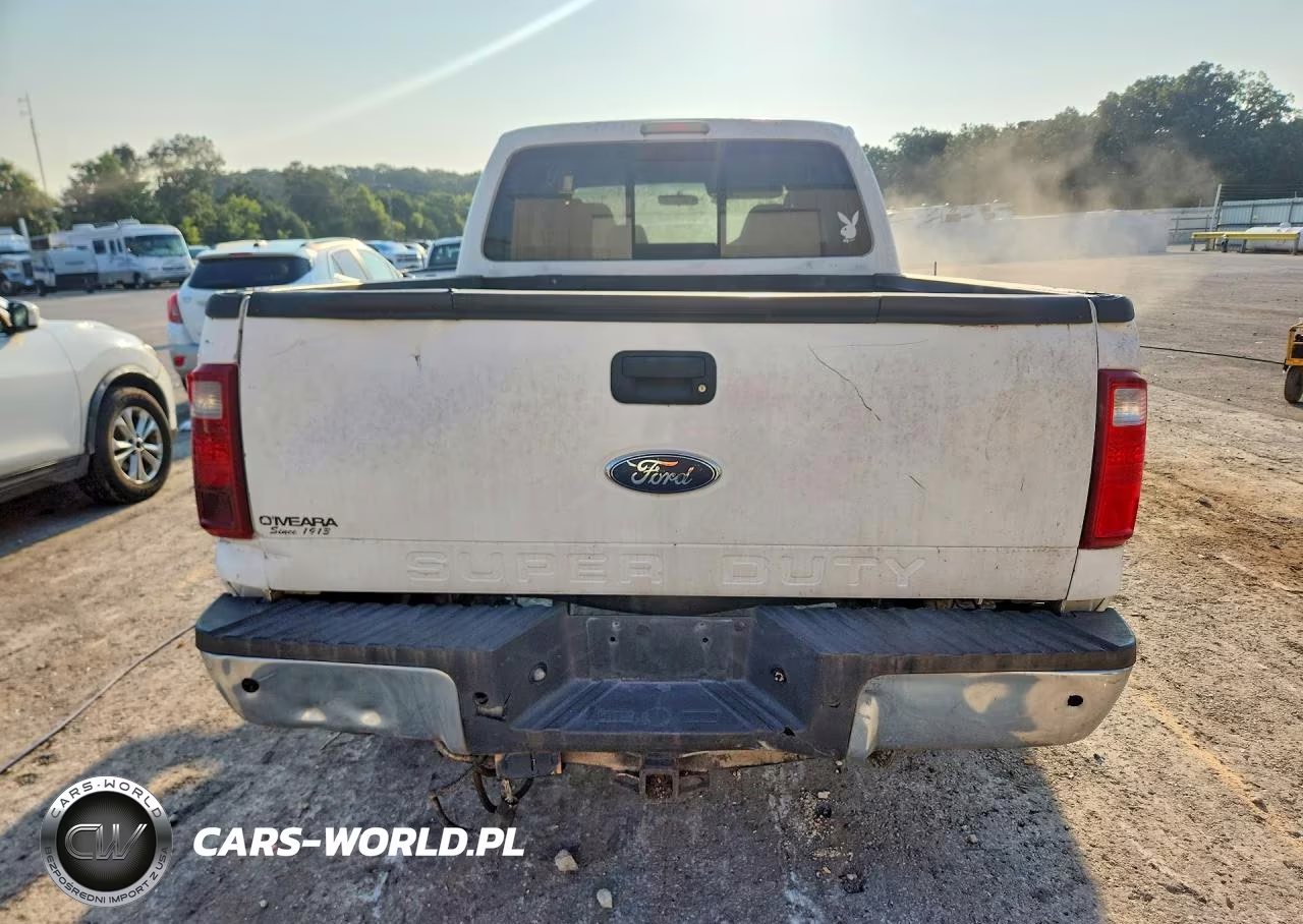 2009 Ford F250 Super Duty VIN:1FTSW21RX9EA99801 - 6