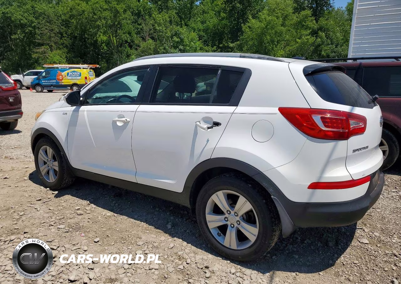 2011 Kia Sportage Ex-X Line VIN:KNDPBCA28B7038080 - 2